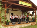Vystúpenie ŽSS klubu dôchodcov Drienky Vystúpenie ŽSS klubu dôchodcov Drienky